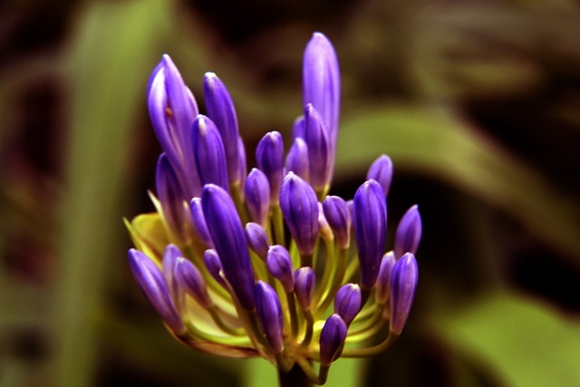 斗志与挑战 斗志与挑战