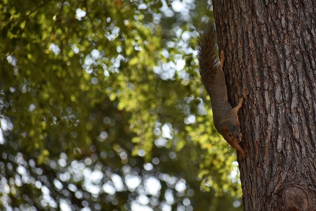 市带来了创 市带来了创