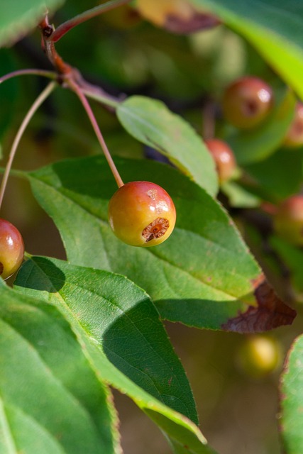 关乎下赛季 关乎下赛季