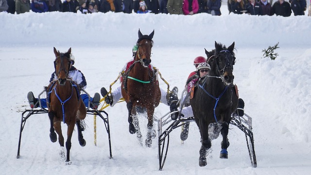 这项运动的 这项运动的