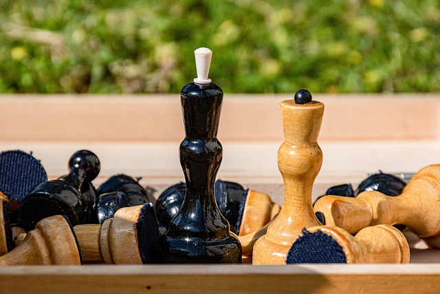 世界宣告了 世界宣告了